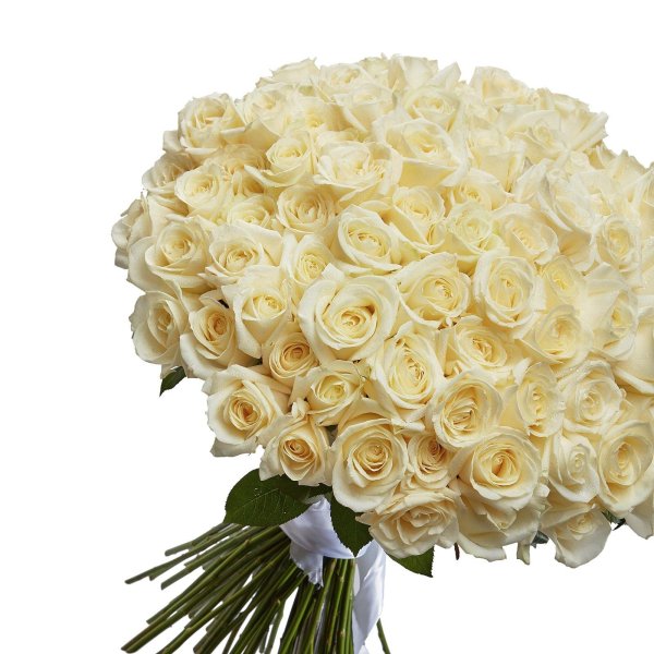 101 белая роза 60см