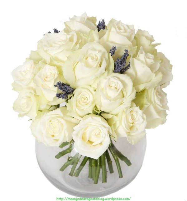 белые букеты