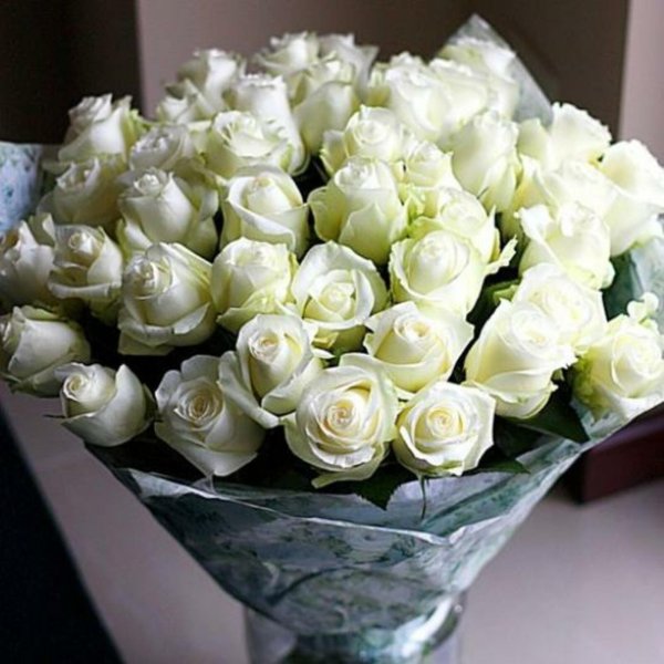 51 белая роза