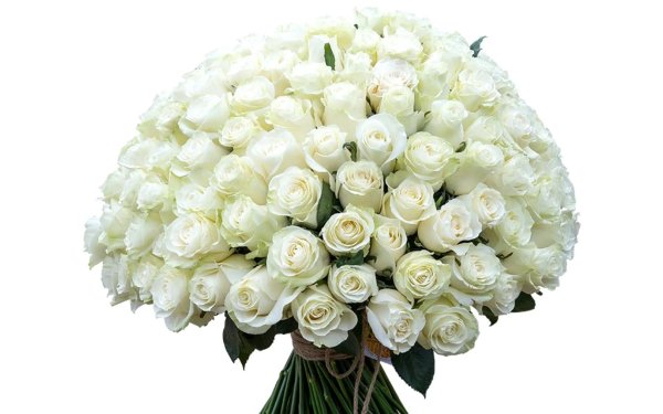 роза вайт наоми