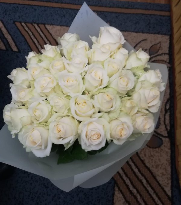 51 белая роза кения