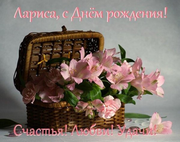 цветок альстромерии