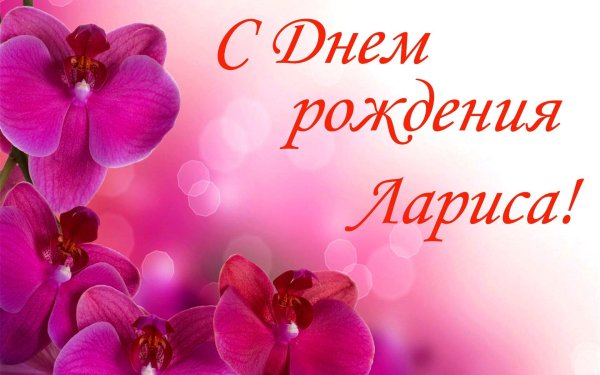 день рождения лариса
