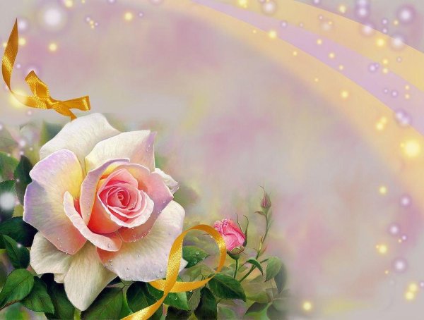 розы светлые