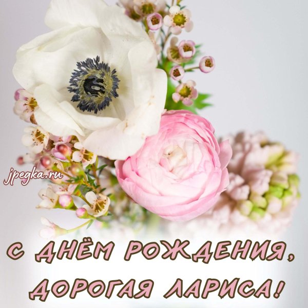 с днем рождения дорогая лариса