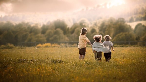 дети бегут по полю