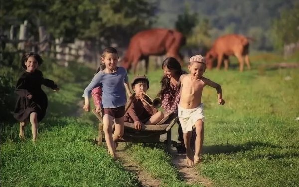 в деревне летом