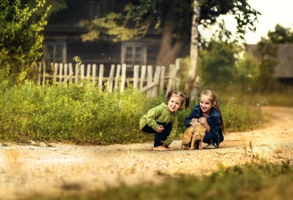 лето в деревне