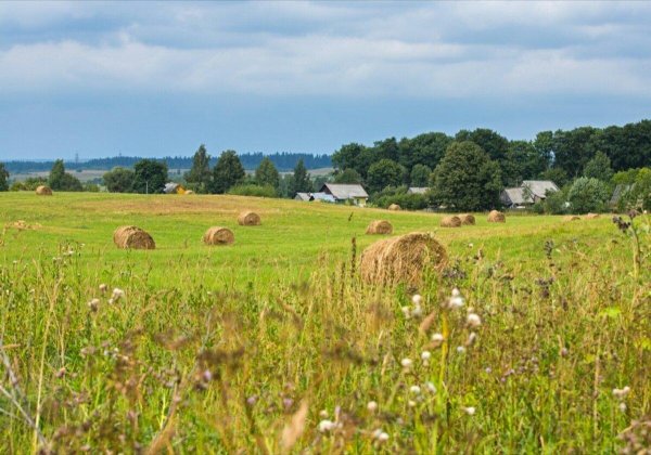 агротуризмсельский туризм россии