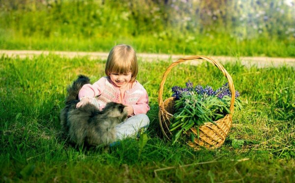 дети на природе