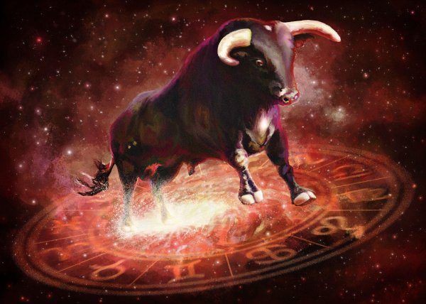 китайский гороскоп бык