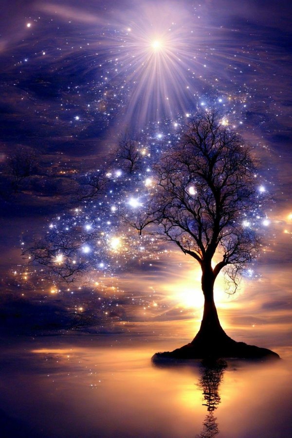 дерево волшебное