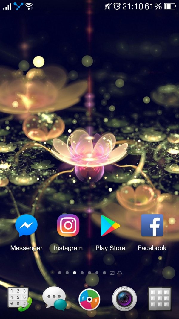 красивый лотос