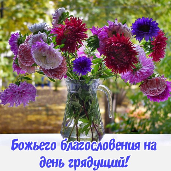 открытки с добрым утром с астрами