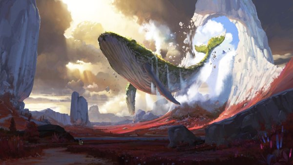 летающие киты