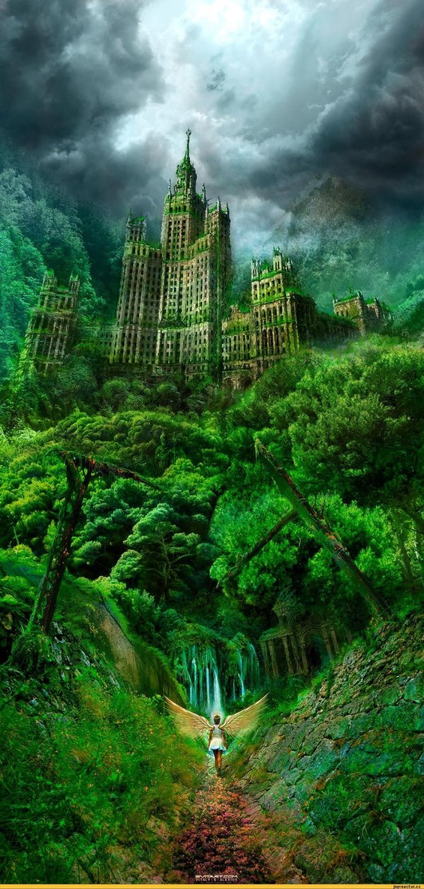 фантастический лес