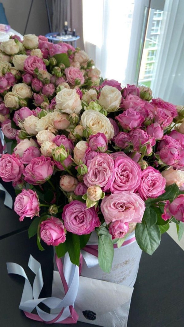 пионовидная роза