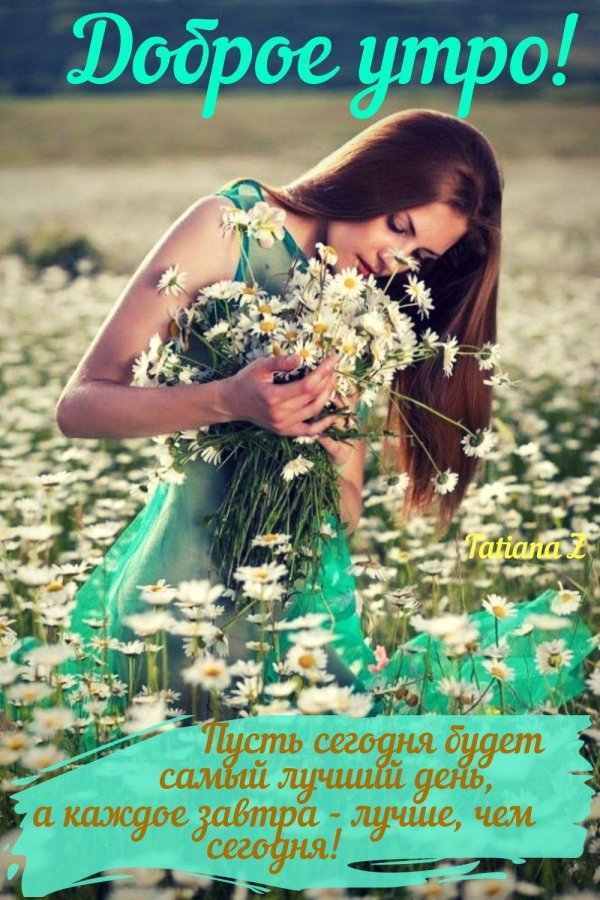 лето прекрасная пора