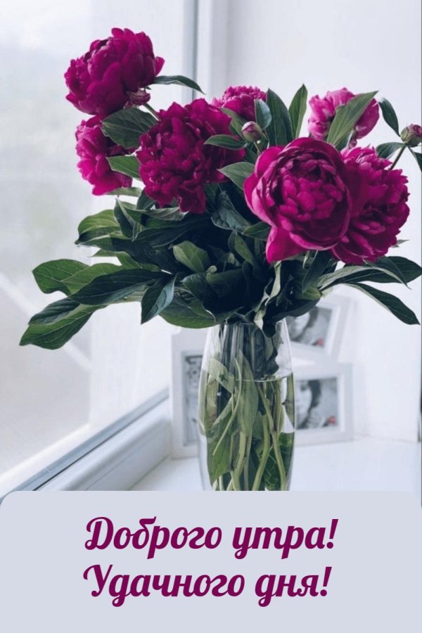 доброе утро доброе утро