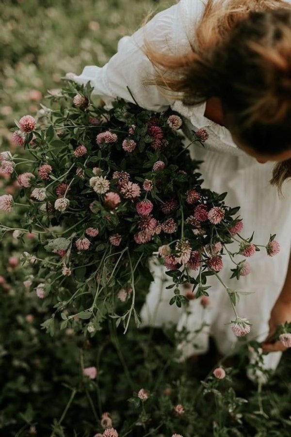 растение эстетика