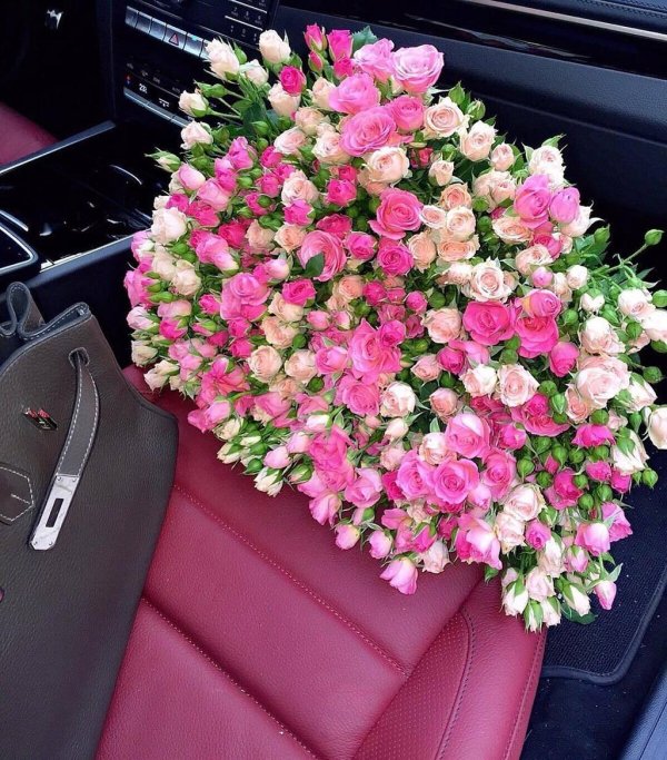 кустовая роза