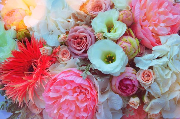 праздничные цветы