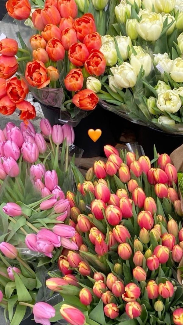 тюльпаны к 8 марта