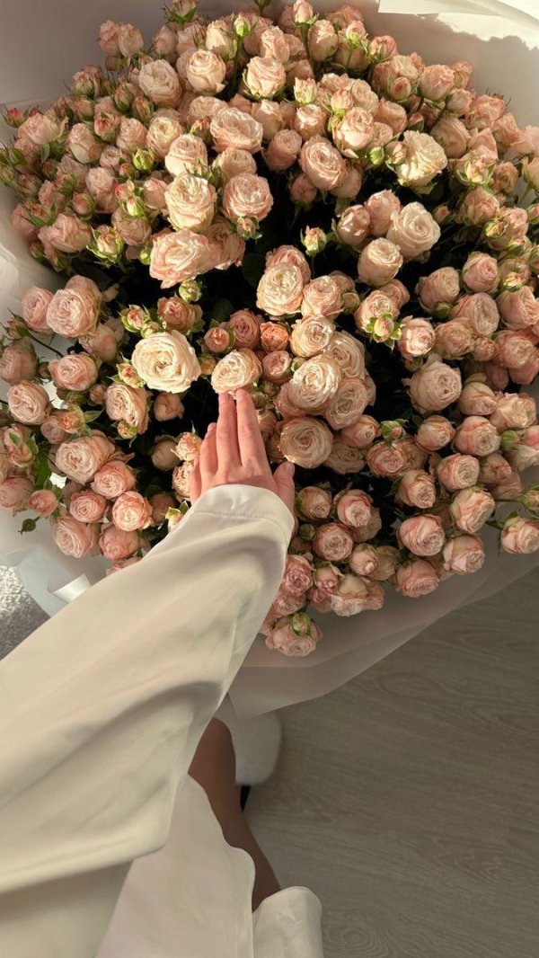 пионовидная роза бомбастик