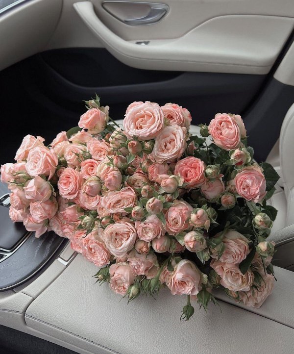 пионовидная кустовая роза