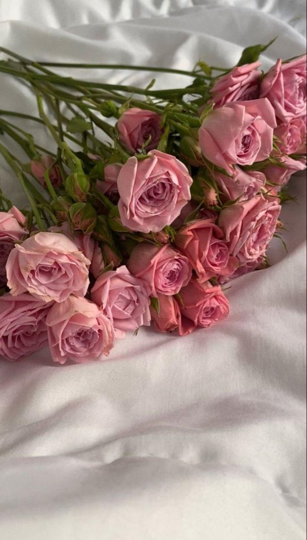 нежно розовые кустовые розы