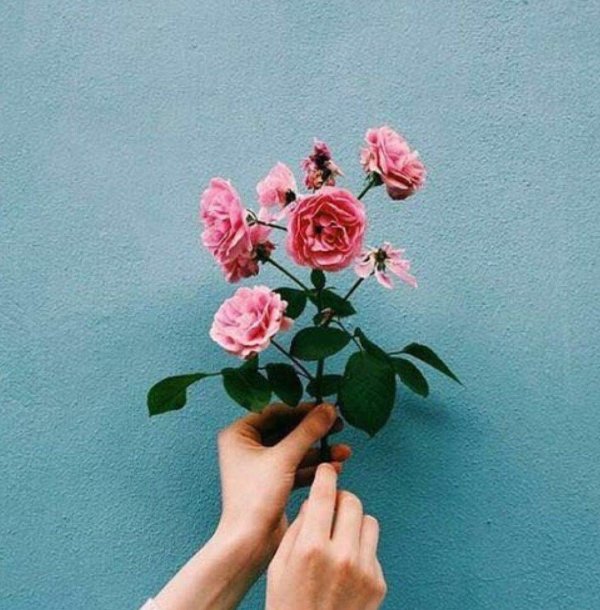 цветочки эстетика