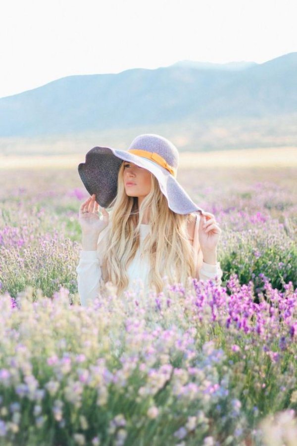 лавандовое поле