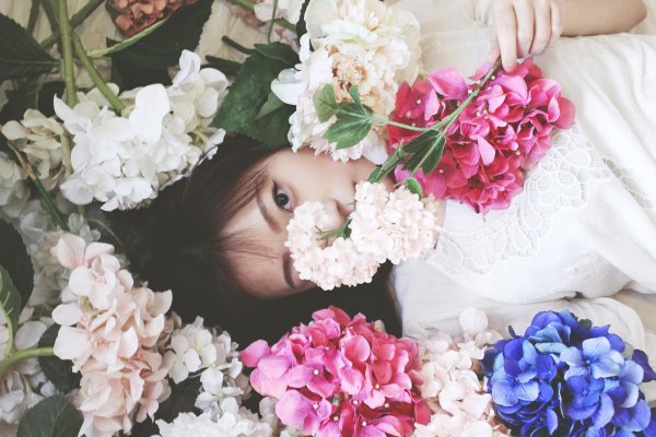 цветы красота