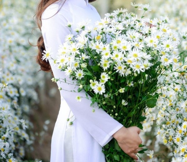 букет ромашек