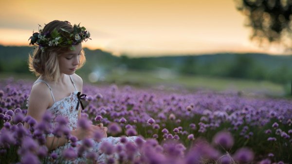 лавандовое поле фотосессия