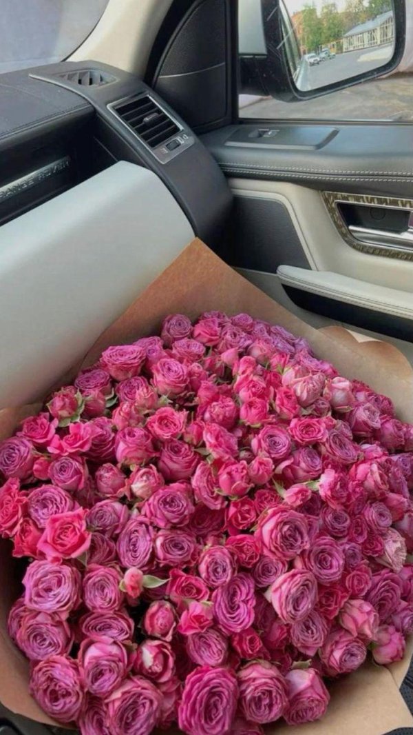 мисти баблс роза 101