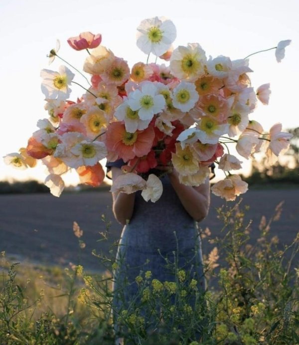 потрясающие букеты