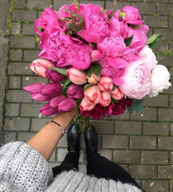 розовые пионы