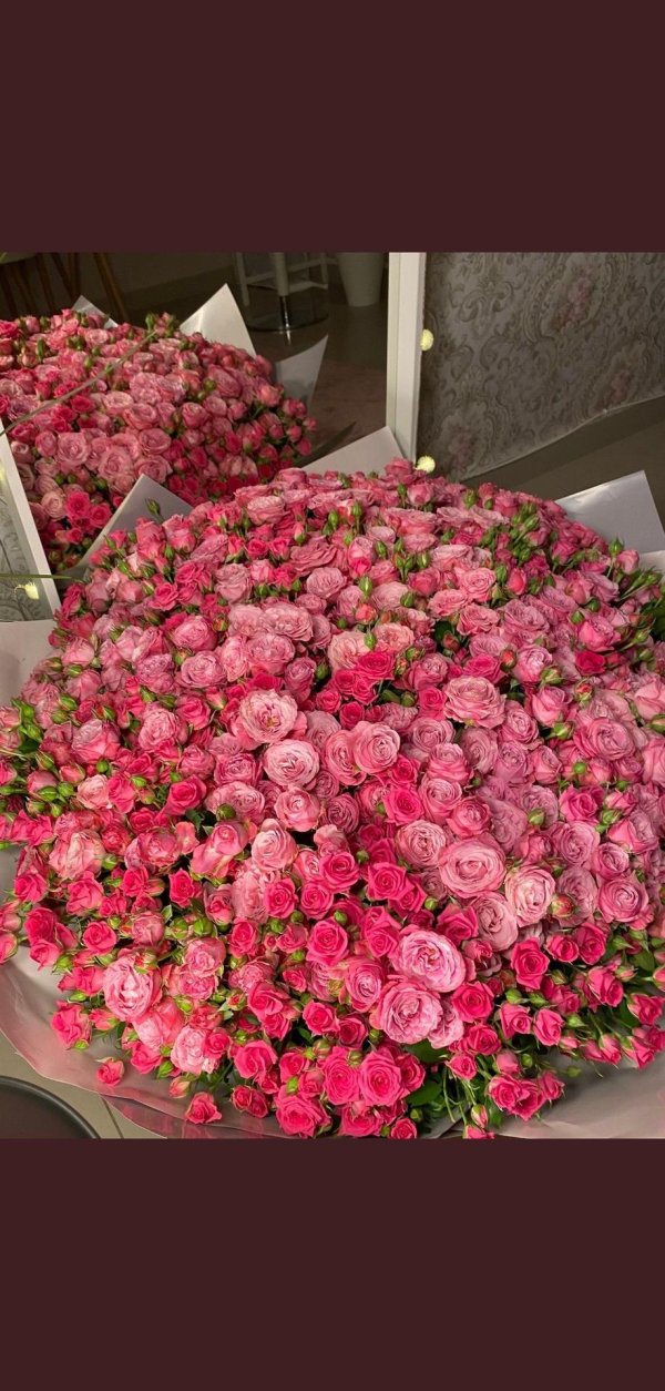 кустовая роза