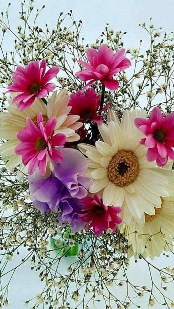 цветок красивый