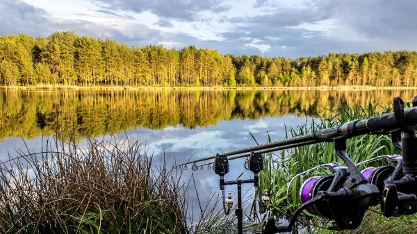 озеро карпятник павловский посад