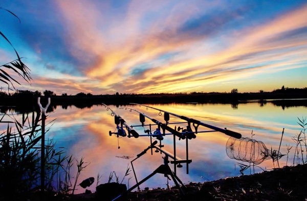 водоём павловский карпфишинг