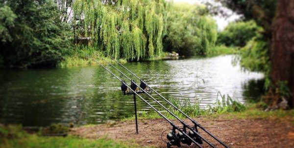 карпфишинг англия