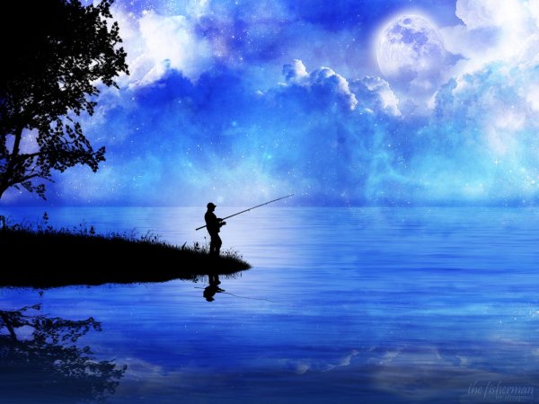 fisherman fishing