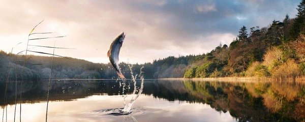 фон рыбалка