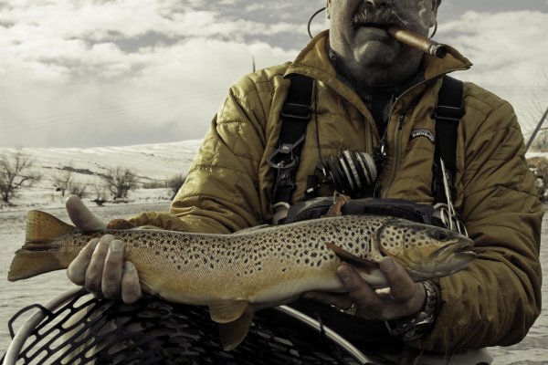 голец кумжа палия