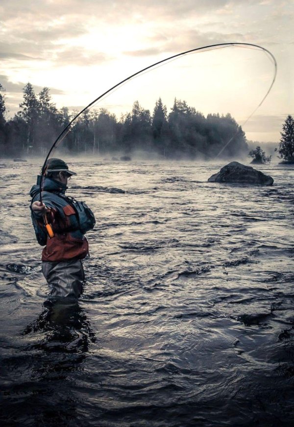 рыбалка нахлыстом