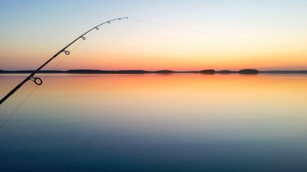 фидер рыбалка