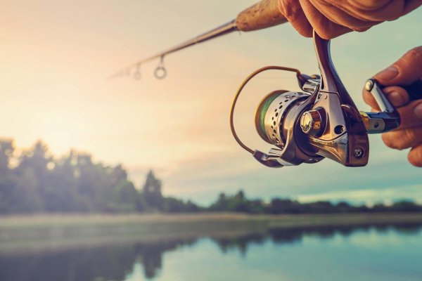 катушка рыболовная