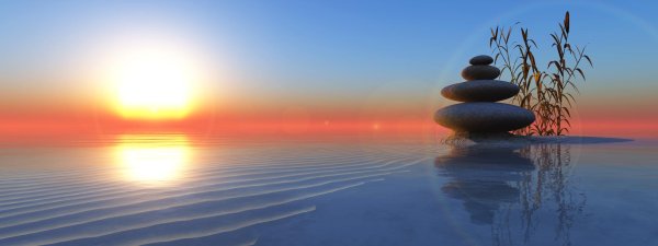 meditation meditation